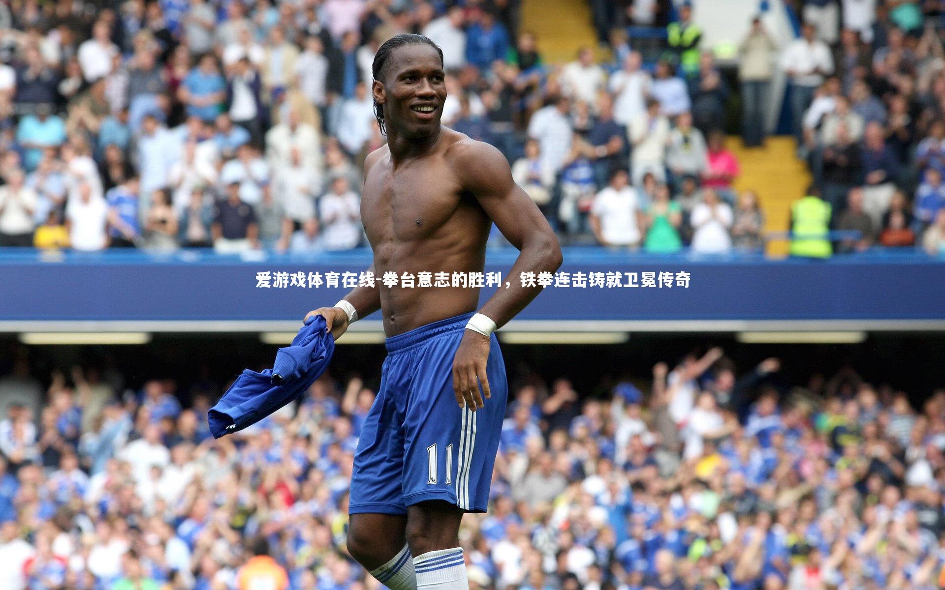 拳台意志的胜利,铁拳连击铸就卫冕传奇