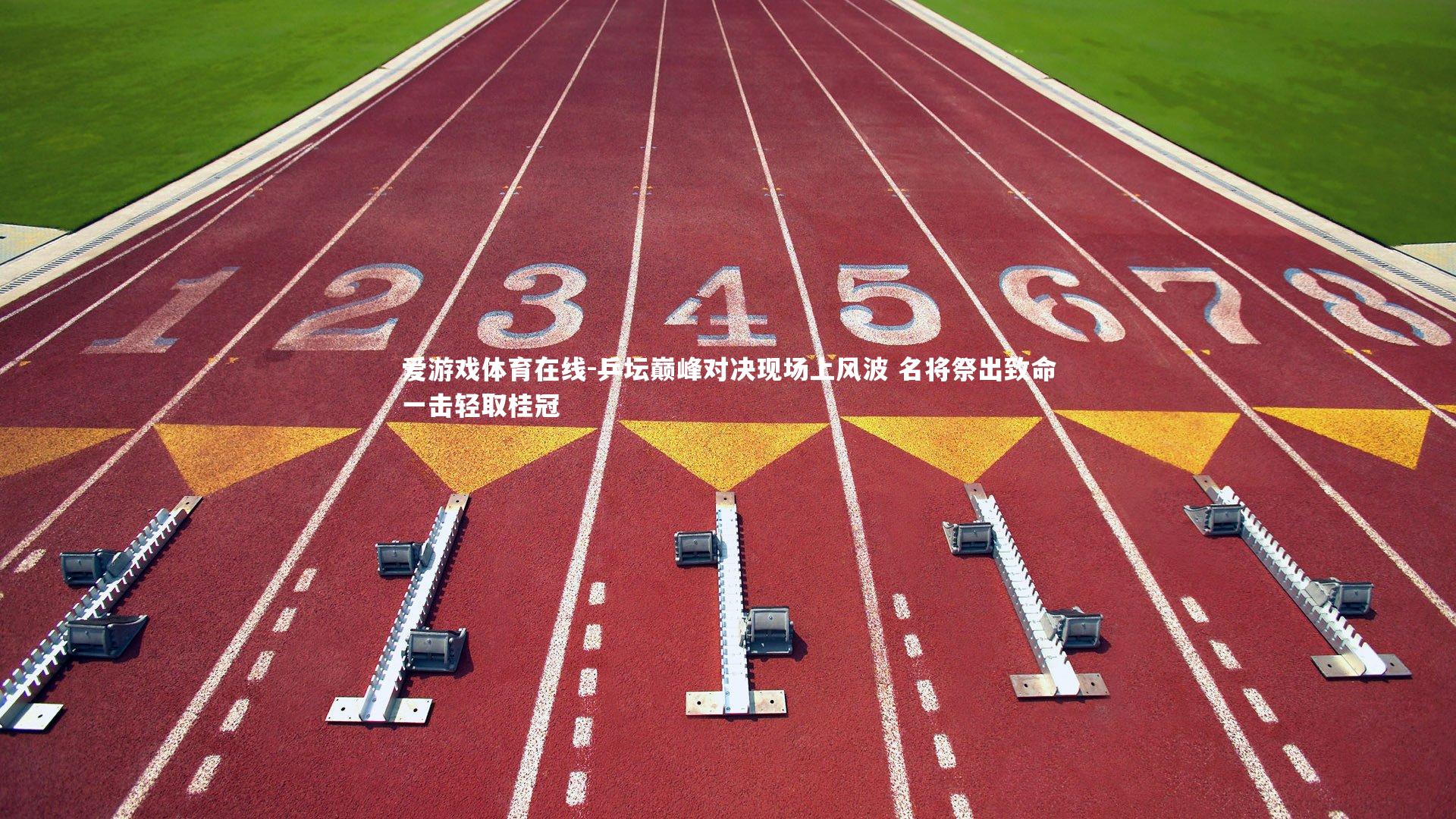 乒坛巅峰对决现场上风波 名将祭出致命一击轻取桂冠